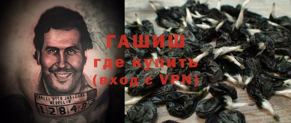 apvp Алексин