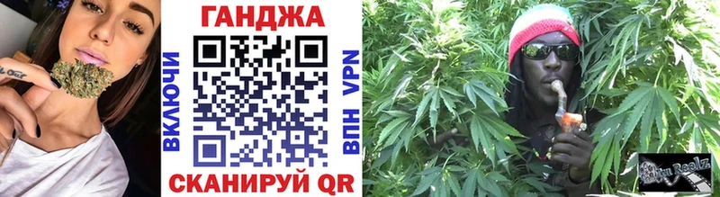 закладка  Луза  Каннабис сатива 